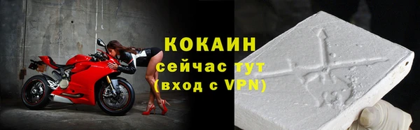 таблы Новозыбков
