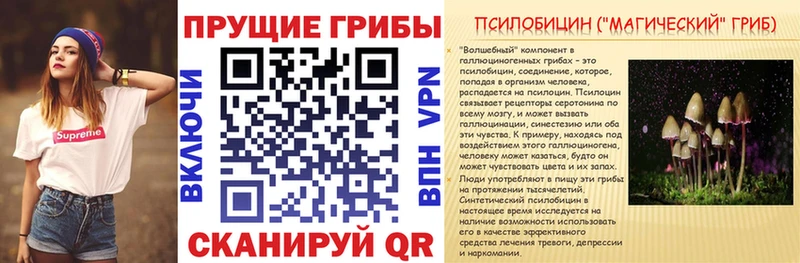 Псилоцибиновые грибы мицелий  дарнет шоп  Знаменск 