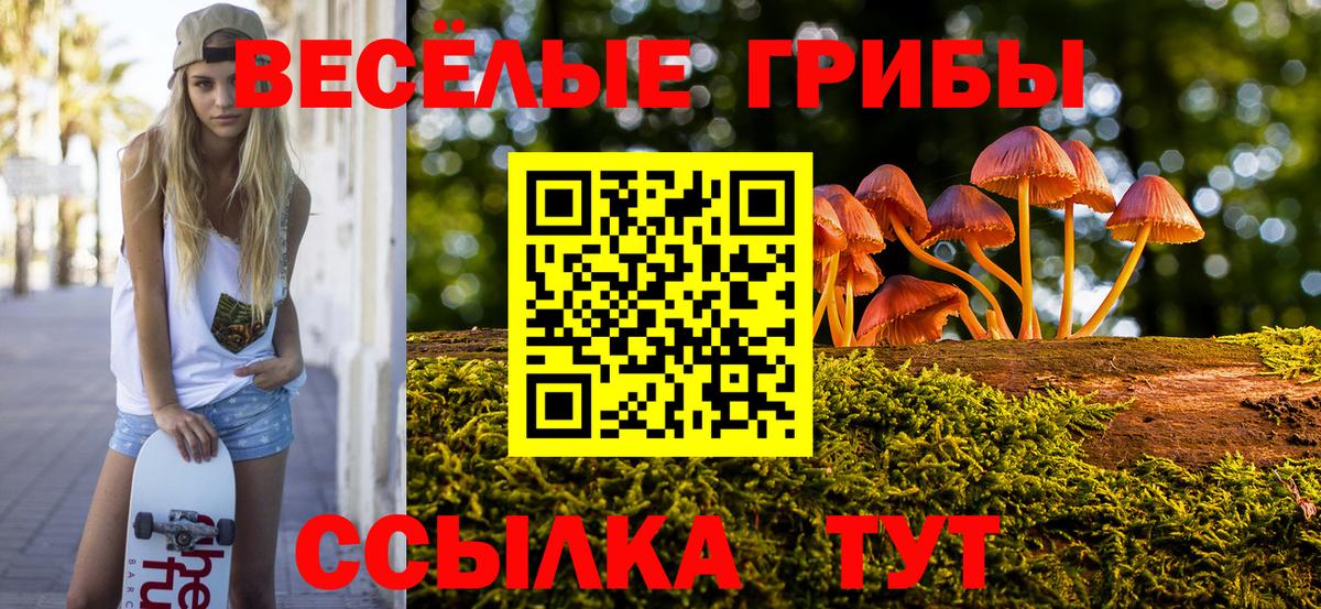 Галлюциногенные грибы Magic Shrooms  Вход с VPN  Знаменск 