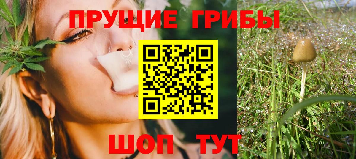 Галлюциногенные грибы GOLDEN TEACHER Знаменск