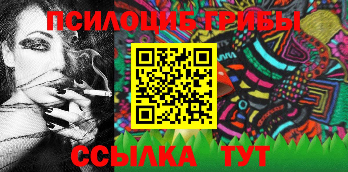купить закладку  Псилоцибиновые грибы ЛСД  Знаменск  Псилоцибиновые грибы Psilocybine cubensis 